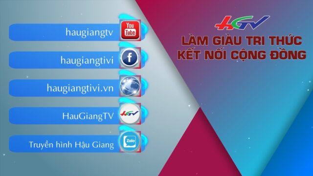 Khai thác “mỏ vàng” từ mít - Truyền hình Hậu Giang