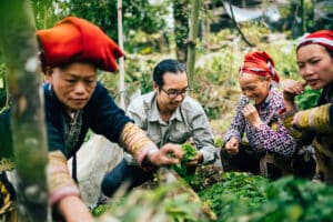Sông Cái's leader participate in the selection of ingredients with the Dao women.