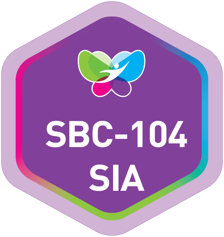 SBC-104 Principles of Social Business Acceleration