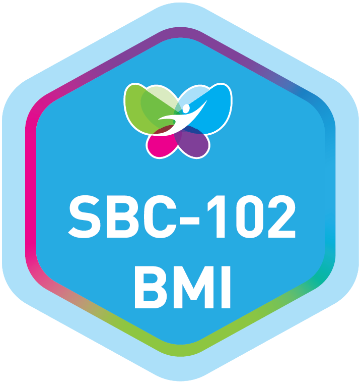 SBC-102 Principles of Business Model Innovation