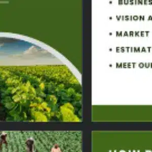 Profile photo of saween Miran