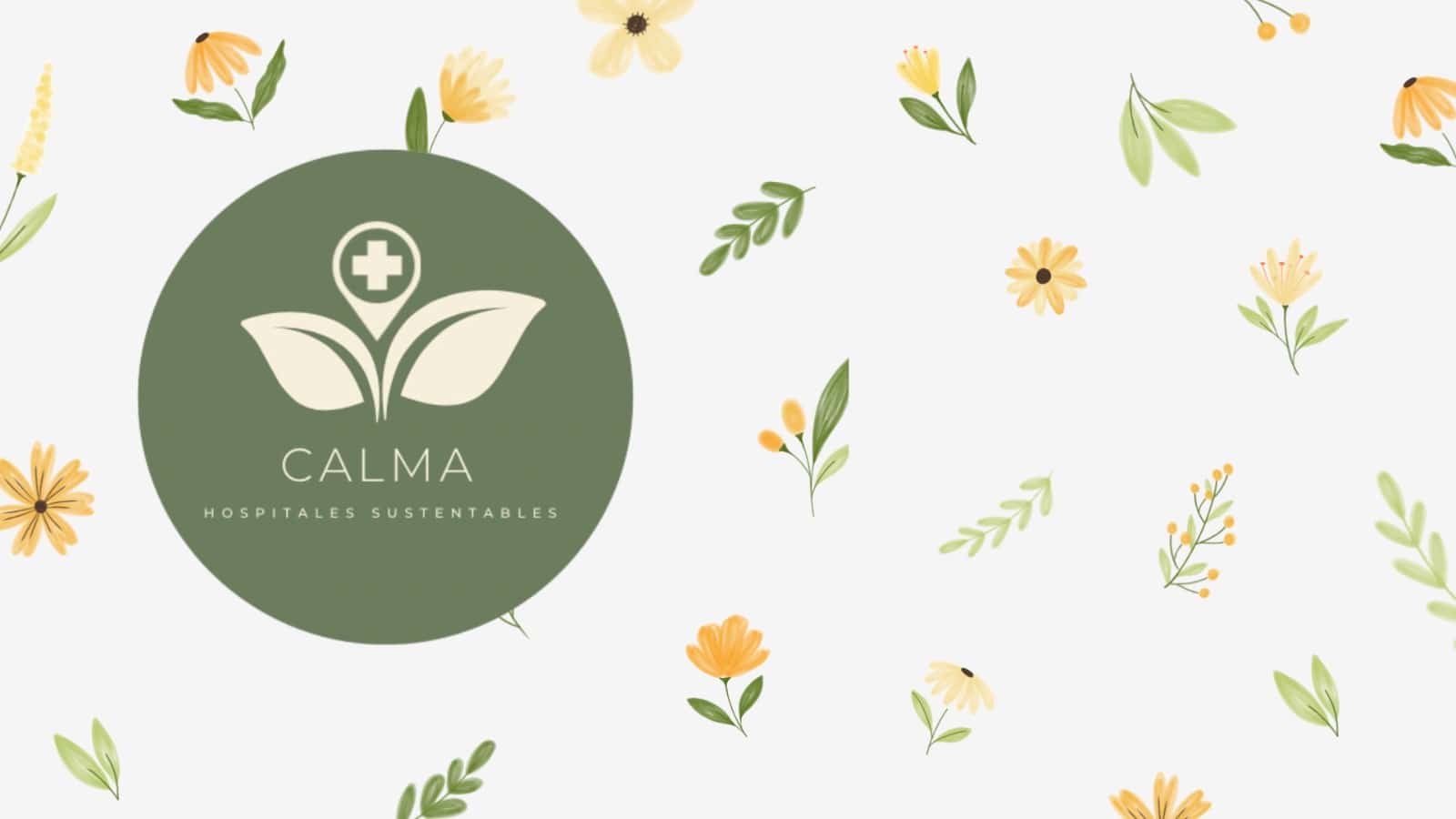 Calma, Case Study