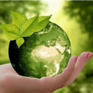 Group logo of Financial solutions for our planet. 🌏🪙