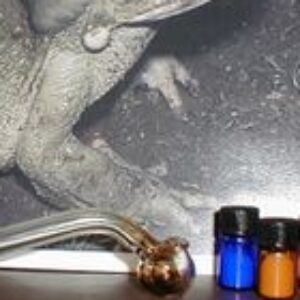 Group logo of 5-MeO-DMT Vape pens for sale WhatsApp(+1(913)278-4569 buy toad venom