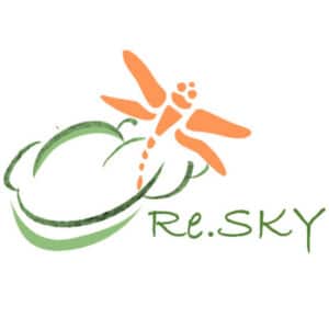 Group logo of Re.Sky EduTravel