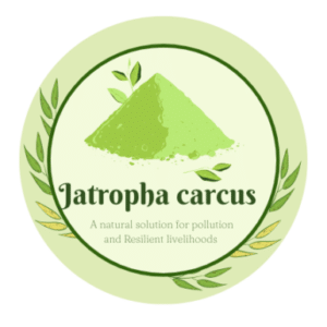 Group logo of Jatropha carcus – A natural solution for pollution and Resilient livelihoods